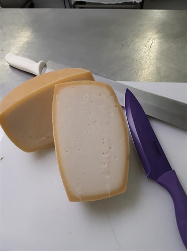 Aged Cheese: Shenandoah Summer