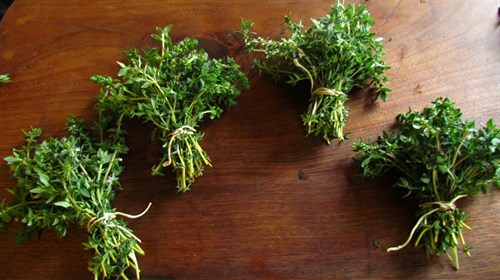 Fresh Herb Bundle- Thyme