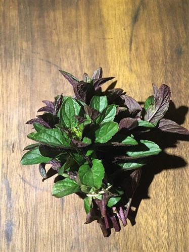 Fresh Herb Bundle- Chocolate Mint